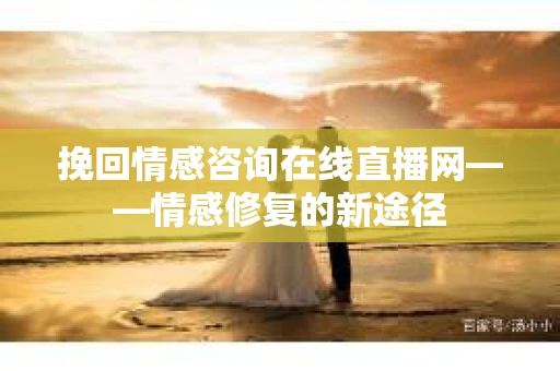 挽回情感咨询在线直播网——情感修复的新途径