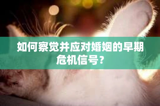 如何察觉并应对婚姻的早期危机信号？