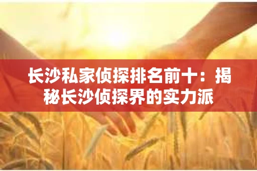 长沙私家侦探排名前十：揭秘长沙侦探界的实力派