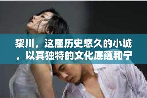 黎川，这座历史悠久的小城，以其独特的文化底蕴和宁静的生活节奏吸引着无数游客。然而，在这样一个看似平静的城市里，你是否会好奇，有没有私家侦探机构的存在呢？今天，就让我带你一探究竟。
