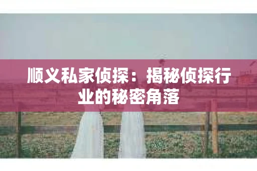 顺义私家侦探：揭秘侦探行业的秘密角落
