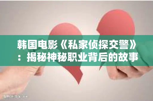 韩国电影《私家侦探交警》：揭秘神秘职业背后的故事