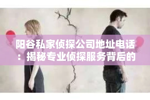 阳谷私家侦探公司地址电话：揭秘专业侦探服务背后的故事