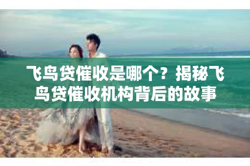 飞鸟贷催收是哪个？揭秘飞鸟贷催收机构背后的故事