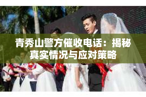 青秀山警方催收电话：揭秘真实情况与应对策略