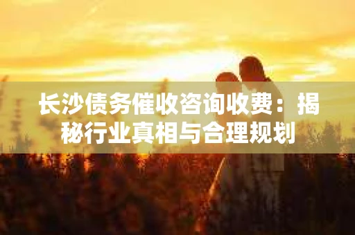 长沙债务催收咨询收费：揭秘行业真相与合理规划