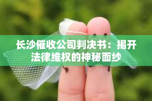 长沙催收公司判决书：揭开法律维权的神秘面纱