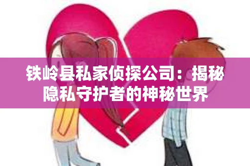 铁岭县私家侦探公司：揭秘隐私守护者的神秘世界