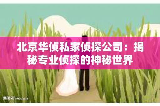 北京华侦私家侦探公司：揭秘专业侦探的神秘世界