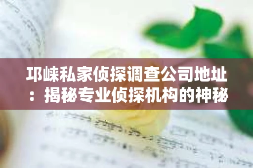 邛崃私家侦探调查公司地址：揭秘专业侦探机构的神秘面纱