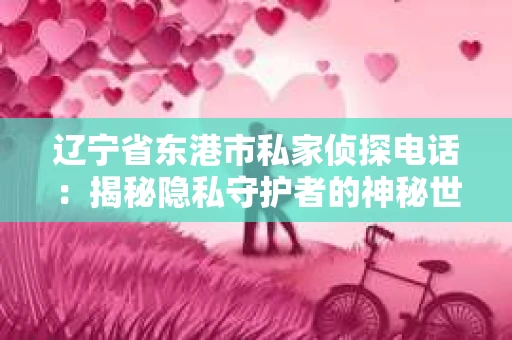 辽宁省东港市私家侦探电话：揭秘隐私守护者的神秘世界