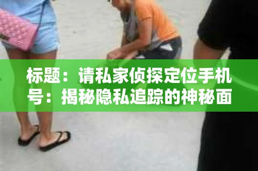标题：请私家侦探定位手机号：揭秘隐私追踪的神秘面纱