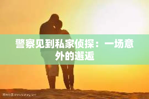 警察见到私家侦探：一场意外的邂逅