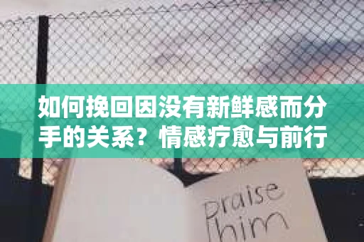 如何挽回因没有新鲜感而分手的关系？情感疗愈与前行计划