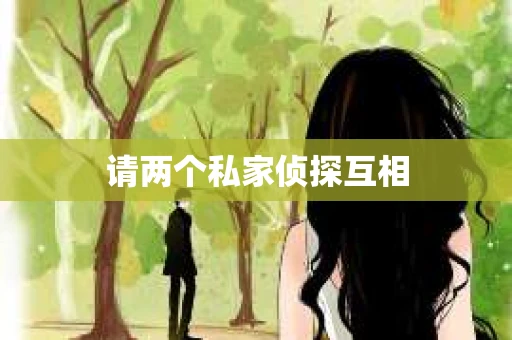 请两个私家侦探互相