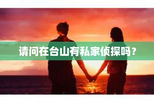 请问在台山有私家侦探吗？