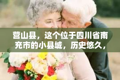 营山县，这个位于四川省南充市的小县城，历史悠久，风景秀丽。但在这个宁静的小县城里，你是否会好奇，有没有私家侦探的存在呢？今天，我就来和大家聊聊这个话题。