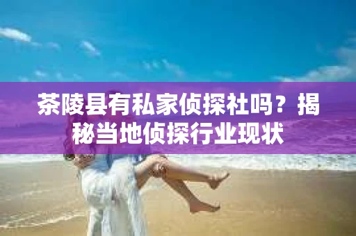 茶陵县有私家侦探社吗？揭秘当地侦探行业现状