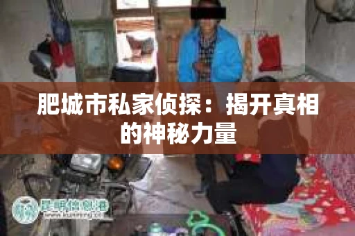 肥城市私家侦探：揭开真相的神秘力量