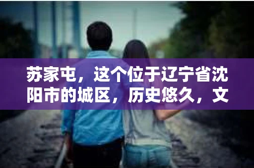 苏家屯，这个位于辽宁省沈阳市的城区，历史悠久，文化底蕴深厚。近年来，随着社会的发展，人们对于私家侦探的需求也逐渐增加。那么，苏家屯有私家侦探吗？今天，我们就来聊聊这个话题。