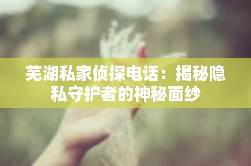 芜湖私家侦探电话：揭秘隐私守护者的神秘面纱