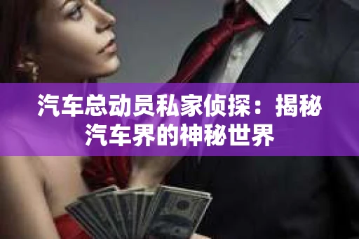 汽车总动员私家侦探：揭秘汽车界的神秘世界