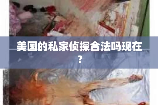 美国的私家侦探合法吗现在？