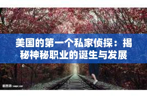 美国的第一个私家侦探：揭秘神秘职业的诞生与发展