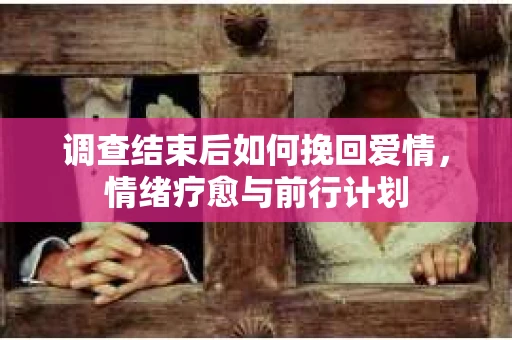 调查结束后如何挽回爱情,情绪疗愈与前行计划 调查结束后如何挽回爱情,情绪疗愈与前行计划