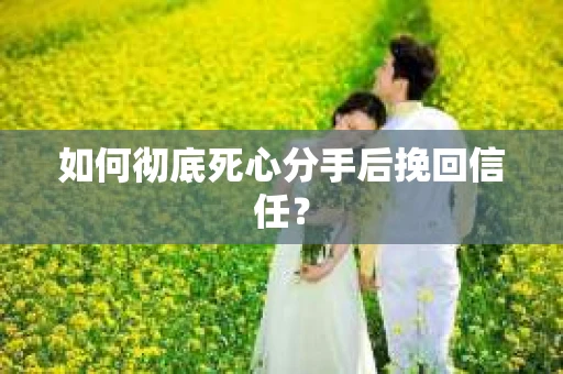 如何彻底死心分手后挽回信任？