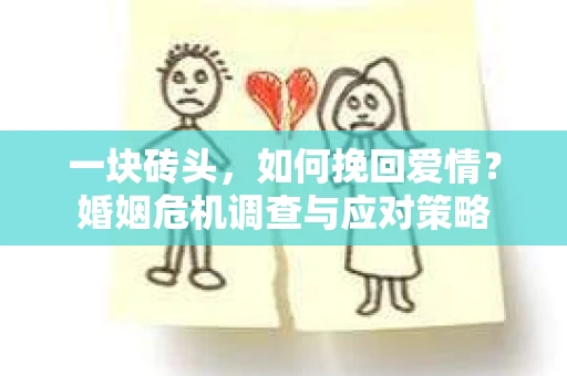 一块砖头，如何挽回爱情？婚姻危机调查与应对策略