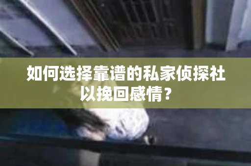 如何选择靠谱的私家侦探社以挽回感情？