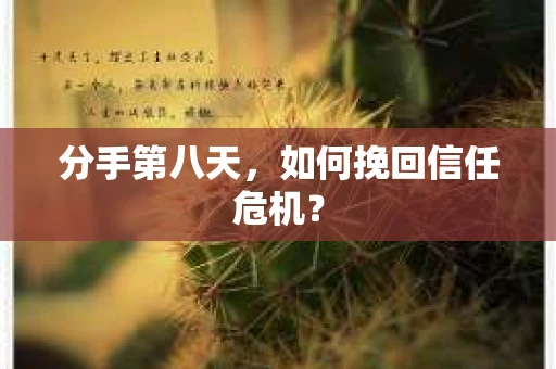 分手第八天，如何挽回信任危机？