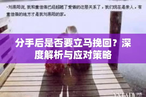 分手后是否要立马挽回？深度解析与应对策略
