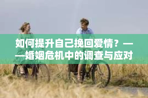 如何提升自己挽回爱情？——婚姻危机中的调查与应对策略
